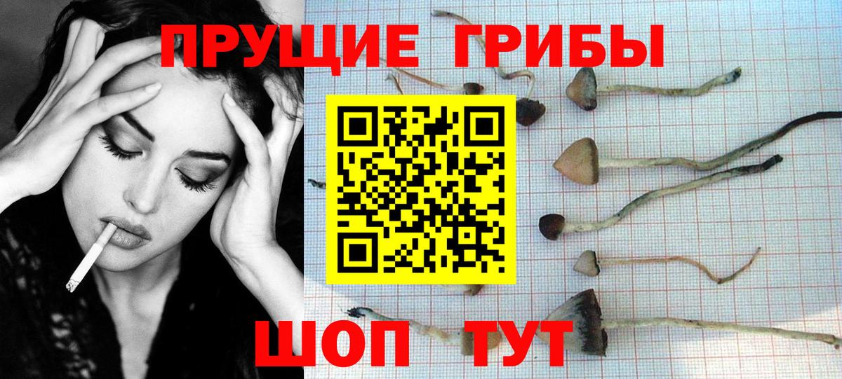 Заводоуковск  Галлюциногенные грибы мухоморы  Вход с VPN 